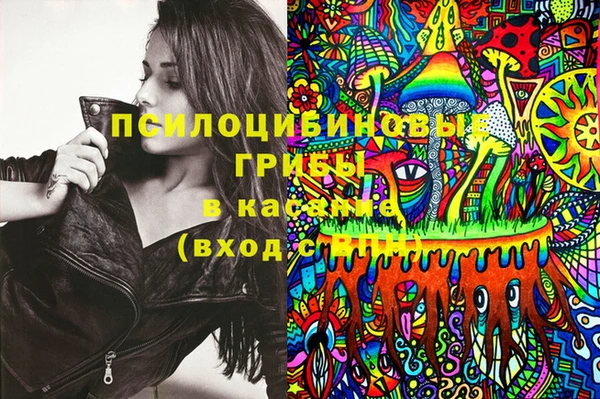 мет Коряжма
