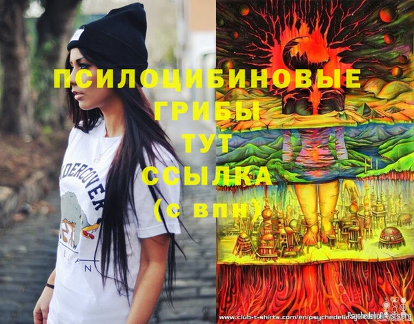 МДПВ Козельск