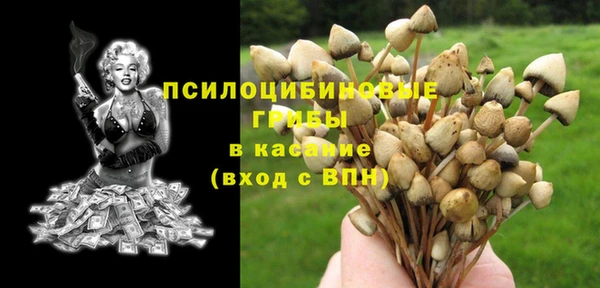 мет Коряжма