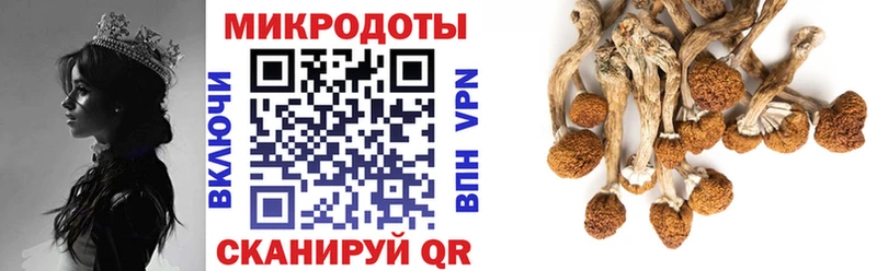 Галлюциногенные грибы GOLDEN TEACHER Купить Нягань